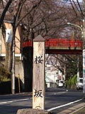 桜坂写真090326_01