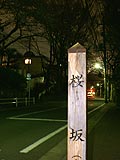桜坂写真090331_07