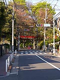 桜坂写真090411_01