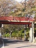 桜坂写真090411_02