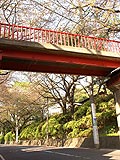 桜坂写真090411_07