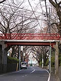 桜坂写真110330_02