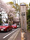 桜坂写真110410_01