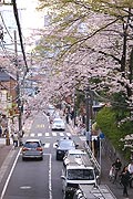 桜坂写真110410_04