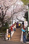 桜坂写真110410_07