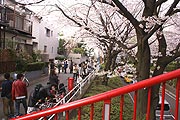 桜坂写真110410_08